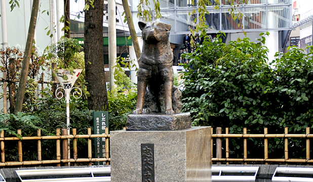 *Statue of Hachiko, the faithful dog