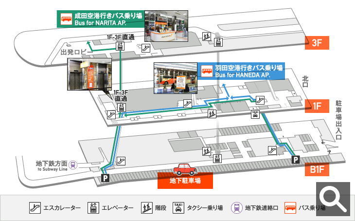 T Catへの3つのラクラクアクセス 東京シティエアターミナル T Cat