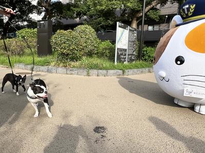 yuru20251_pug.JPG