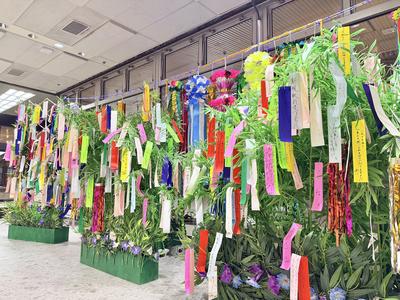 tanabata2026_1f01.JPG