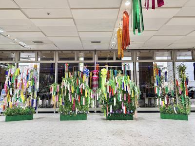 tanabata2026_1f00.JPG