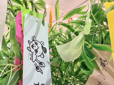 tanabata2026_1f02.JPG