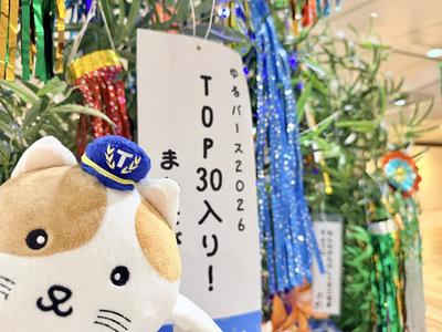 tanabata2026_2f01.JPG