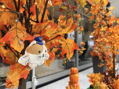 autumn2026_1f06.JPG