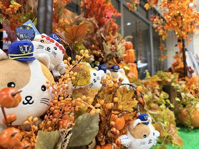 autumn2026_1f08.JPG